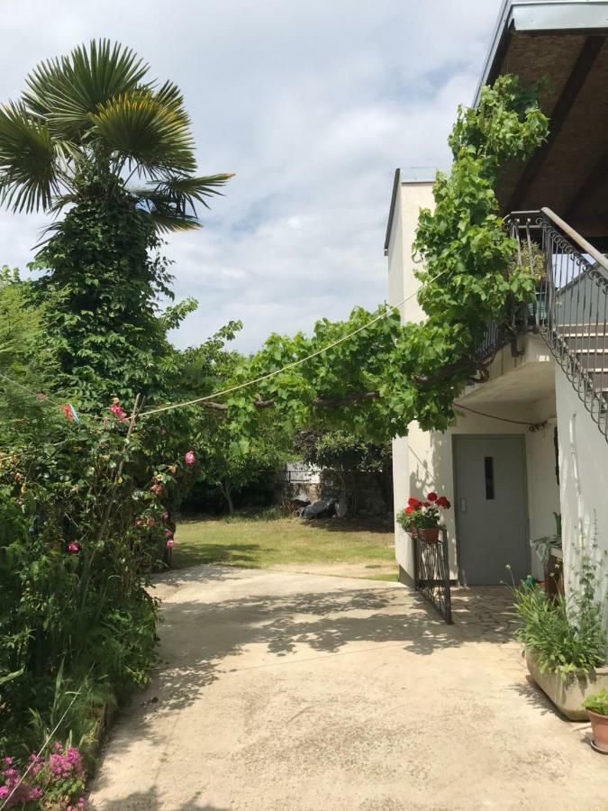 Apartment Jonas 罗维尼 外观 照片